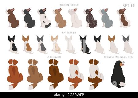 Sitzende Hunde, hintere Cliparts, Rückansicht. Verschiedene Fellfarben. PET-Grafik-Design für Hundefreunde. Vektorgrafik Stock Vektor