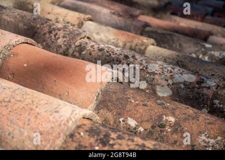 Mediterranes Ziegeldach, schräg von der Seite, der Textur oder dem Hintergrund fotografiert. Von Flechten überwuchert. Stockfoto