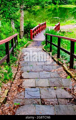 Eine Fußgängerbrücke überquert einen Teich im Charles Wood Japanese Garden, 17. Juli 2021, in Mobile, Alabama. Stockfoto