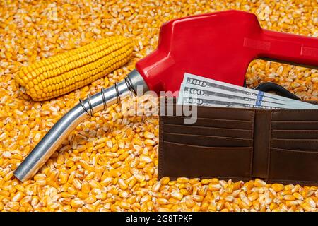 Ethanol Benzin Kraftstoffdüse, Maiskörner und Geldbörse mit Bargeld. Konzept für Biokraftstoffe, Landwirtschaft und Kraftstoffpreise Stockfoto