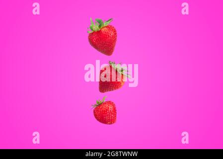 Drei frische Erdbeeren fliegen auf rosa Hintergrund, minimalistischer Stil, Tapete, Früchte Stockfoto