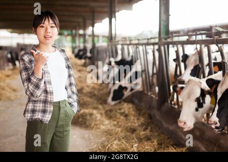 Lächelnd junge weibliche professionelle Farmerin in der Nähe von Kühen auf dem Bauernhof Stockfoto