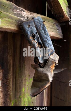 Ein abgenutzter Stiefel hängt in der Schafshütte auf der Lyons Ranch im Humboldt County, Kalifornien. Die Ranch wurde zwischen 1868 und 1959 als Teil der L betrieben Stockfoto