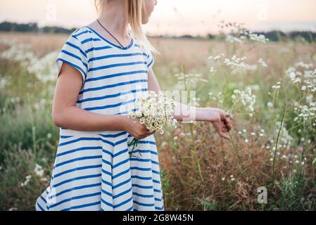 Kleines Mädchen pflückt wilde Blumen im gelben Weizenfeld bei Sonnenuntergang Sommerlandschaft, Sommer landwirtschaftlichen Hintergrund mit reifen Weizenspitzen Stockfoto