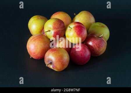 Ein Haufen süßer Kirschpflaumen auf einer dunklen Oberfläche. Frisch geerntete bunte Kirschpflaumen. Stockfoto