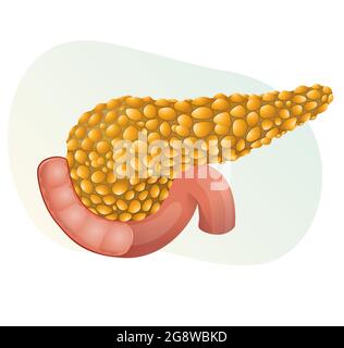 Abbildung des Pankreas-Symbols als EPS 10-Datei Stock Vektor