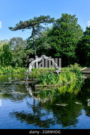 Die halbkreisförmige Continuum-Skulptur im Alexandra Park, Hastings. Die Reflexion im See vervollständigt das Kontinuum des Kreises. Stockfoto