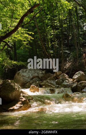 Bergfluss grüner Wald. Sommer schöne kühle Landschaft im Wald mit Wasser. Natürlicher vertikaler Hintergrund. Ein Strom von klarem Wasser fließt vorbei Stockfoto