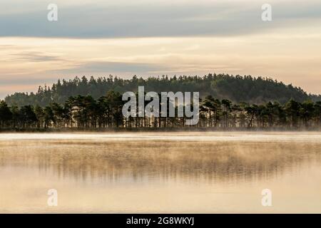 Nebel steigt langsam auf dem See während des frühen Morgensonnenaufgangs im Kakerdaja-Moor in Estland, Nordeuropa Stockfoto