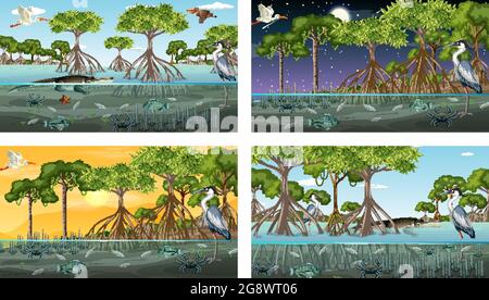 Verschiedene Mangrovenwaldlandschaftsszenen mit verschiedenen Tieren Illustration Stock Vektor