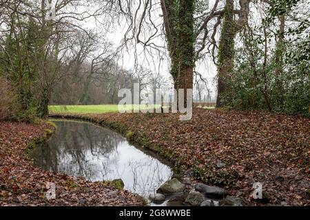 Ein Park mit Wasser, Bäumen und viel Grün im Herbst Stockfoto