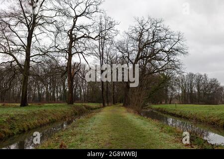 Ein Park mit Wasser, Bäumen und viel Grün im Herbst Stockfoto