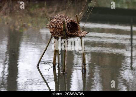 Ein Park mit Wasser, Bäumen und viel Grün im Herbst Stockfoto