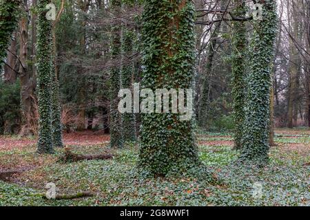 Ein Park mit Wasser, Bäumen und viel Grün im Herbst Stockfoto