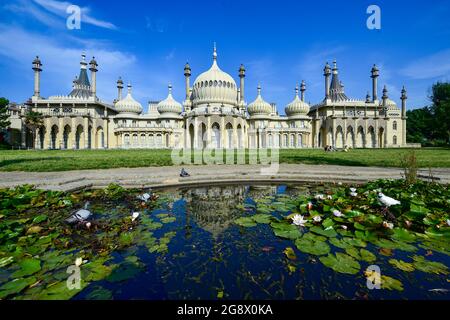 Brighton UK 23. Juli 2021 - Tauben und Tauben trinken an einem schönen sonnigen Morgen aus einem Pool am Royal Pavilion in Brighton, aber das Wetter wird über das Wochenende kühler und unruhiger, mit Warnungen vor Sturzfluten in einigen Gebieten: Credit Simon Dack / Alamy Live News Stockfoto