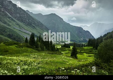 Wunderschöne Flusslandschaft im Bergtal und grüner, üppiger Wald auf Almaty, Kasachstan Stockfoto