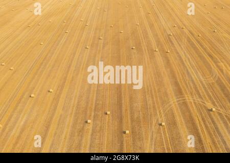 Luftaufnahme der Heuballen auf dem landwirtschaftlichen Feld nach der Ernte. Farmlandschaft. Stockfoto
