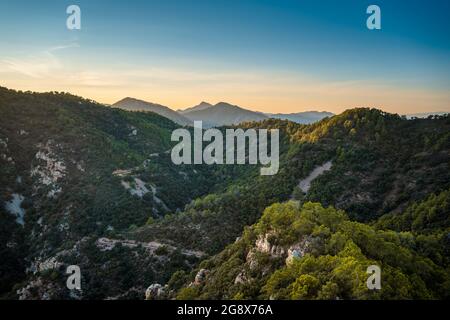 Bergige Landschaft mit Kiefern- und Korkeichen-Wald im Naturpark Sierra de Espadan, Region Valencia, Spanien. Stockfoto