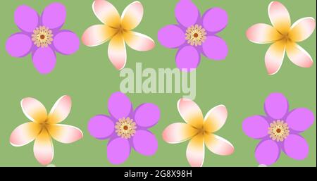 Zusammensetzung von Reihen von Blumen auf grünem Hintergrund Stockfoto