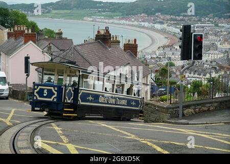 Great Orme Tramway Cars 5 'St Silio', dekending Ty-Gwyn Road Llandudno, North Wales -1 Stockfoto