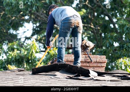 Ein Auftragnehmer, der auf einem Wohndach steht und Schindeln entfernt, um ein neues Dach auf dem Haus zu bauen. Stockfoto