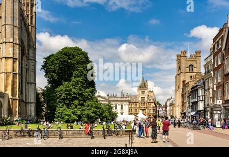 CAMBRIDGE, ENGLAND, MIT BLICK AUF DIE TRUMPINGTON STREET IN RICHTUNG GONVILLE & CAIUS COLLEGE UND GREAT ST. MARY'S KIRCHTURM IM SOMMER Stockfoto