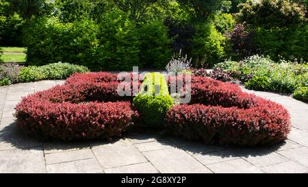 Schmetterling im June Garden in Breezy Knees Gardens Stockfoto