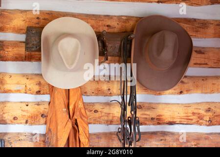 Cowboy-Hüte, Big Horn County Historical Museum, Hardin, Montana Stockfoto