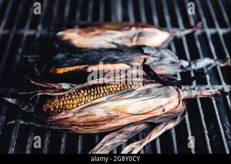 Leicht verkohlter Mais auf dem Maiskolben mit Schale auf einem Grillrost Stockfoto