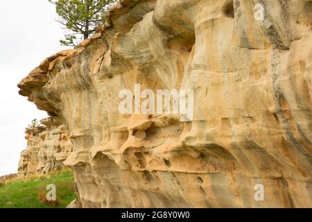 Buffalo Jump Cliff, Rosebud Battlefield State Park, Montana Stockfoto