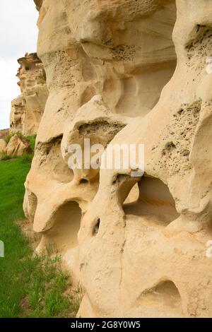 Buffalo Jump Cliff, Rosebud Battlefield State Park, Montana Stockfoto