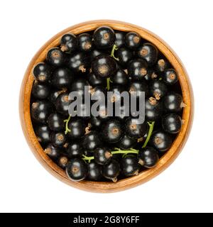 Schwarze Johannisbeeren, in einer Holzschale. Frische, reife schwarze Johannisbeerbeeren, auch bekannt als Cassis, kugelförmige essbare Früchte von Ribes nigrum. Stockfoto