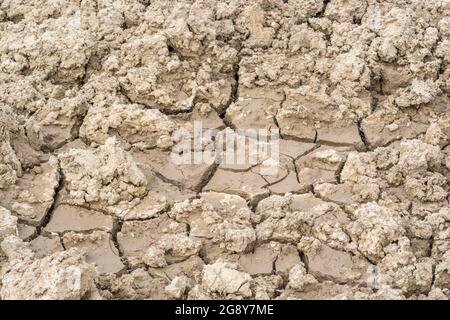 Schuss von rissem trockenen Feld. Für 2022 Hitzewelle, Dürre in Großbritannien, ausgetrocknete Erde, Ernteverluste, Hitzewelle in Europa und den USA, Wasserkrise, trockene Ackerflächen in Großbritannien Stockfoto