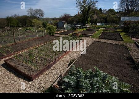 Hochbetten und Kieswege auf englischem Schottergebiet, England Stockfoto