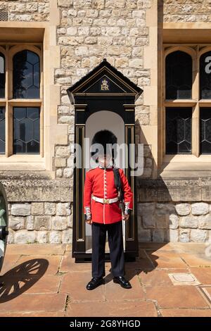 The Tower of London, Großbritannien Stockfoto