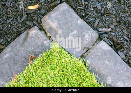 Detail von Kunstrasen, Ziegeleinfassung und schwarzem Mulch bietet eine wartungsarme Landschaftsgestaltung Lösung in diesem kleinen städtischen Hinterhof. Stockfoto