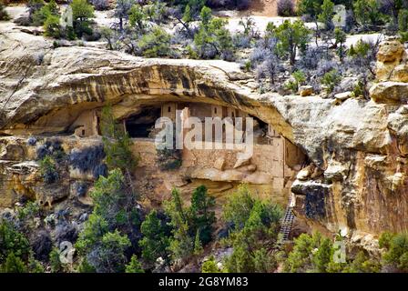 The Balcony House, Mesa Verde Cliff Dwellings, Colorado Stockfoto