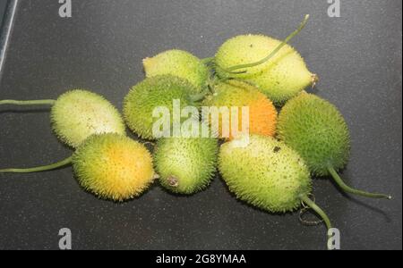 Stacheltes Gourd-Gemüse Stockfoto