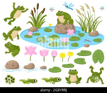 Cartoon-Frösche. Niedliche amphibische Maskottchen, Frogspawn, Kaulquappen, grüne Frösche, Seerosen, Sommer Teich und Insekten Vektor Illustration Set. Frösche Natur Stock Vektor