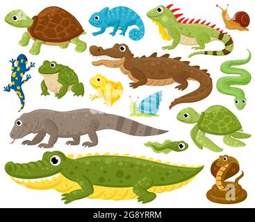 Cartoon Amphibien und Reptilien. Schlange, Reptil und Amphibien, Frosch, Schildkröte, Leguan und Python Vektor Illustration Set. Wildtiere Reptilien und Stock Vektor