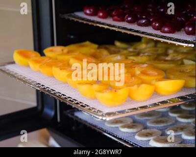 Nahaufnahme eines Tabletts mit Aprikosen in der Entfeuchtermaschine. Stockfoto