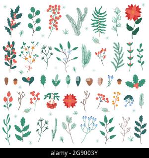 Weihnachtspflanzen und Blumen. Weihnachten und Neujahr Winterferien Dekoration Blätter, Blumen und Beeren Vektor-Illustration-Set. Weihnachtsblumen Stock Vektor