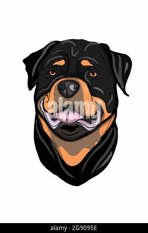 Cute Cartoon, Porträt, Roadfighter Hund Kopf Zeichnung Illustration. Stockfoto