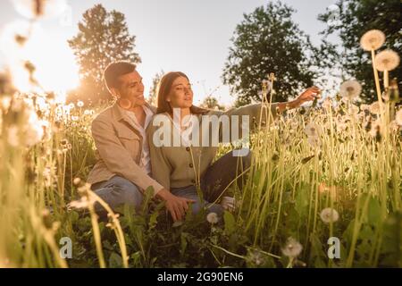 Glückliches junges Paar, das den Sonnenuntergang inmitten von Blumen auf der Wiese genießt Stockfoto