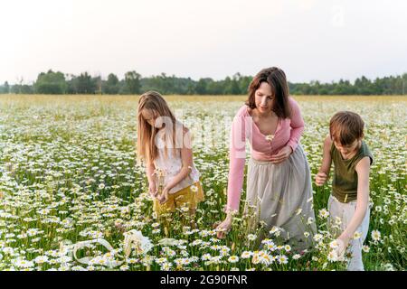 Frau und Kinder pflücken Blumen, während sie auf dem Feld stehen Stockfoto