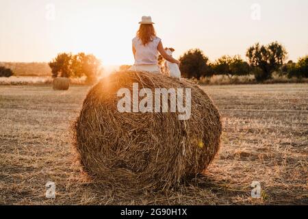 Frau mit Hut sitzend mit Hund auf Strohballen während des Sonnenuntergangs Stockfoto