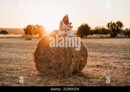 Lächelnde Frau mit Jack Russell Terrier, die während des Sonnenuntergangs mit gekreuzten Beinen auf Strohballen sitzt Stockfoto