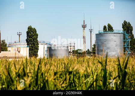 Typische Industrielandschaft in der Ostukraine, Maisfeld und Treibstoffreservoirs der Gasraffinerie Naftogaz Ukraine 20.000 b/d Shebelinka, Region Charkow. Stockfoto