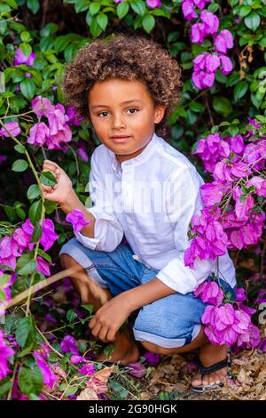 Junge hockend unter Bougainvillea Baum Stockfoto