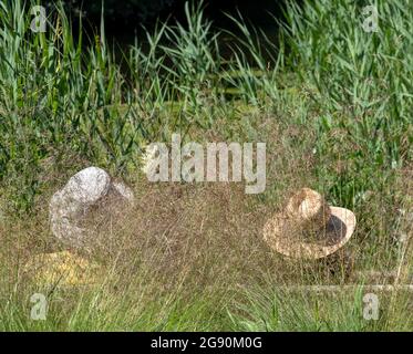 Ein älteres Paar mit Sonnenhut sitzt auf einer Bank im Millennium Garden im Pensthorpe Natural Park, der von Piet Oudolf in Fakenham, Norfolk, Großbritannien, entworfen wurde. Stockfoto